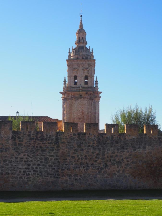 La Casona Del Zoilo -Los Arenales- El Burgo De Osma Exterior photo